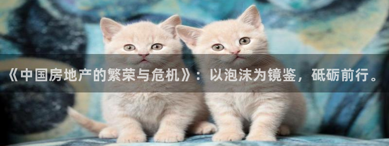 和记娱乐 怡情搏娱官网：《中国房地产的繁荣与危机》：以泡沫为