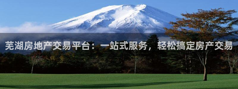 和力记易官网：芜湖房地产交易平台：一站式服务，轻松搞定房产交