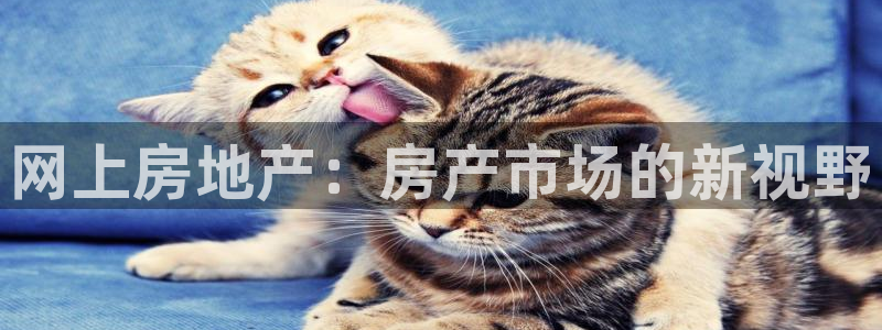 和黄记官网：网上房地产：房产市场的新视野