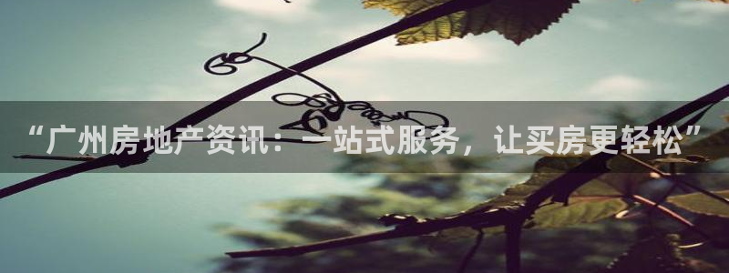 和记澳门官网：“广州房地产资讯：一站式服务，让买房更轻松”