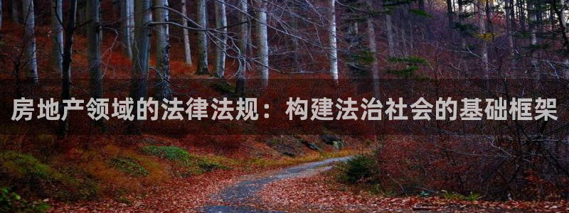 和记体育买球官网：房地产领域的法律法规：构建法治社会的基础框