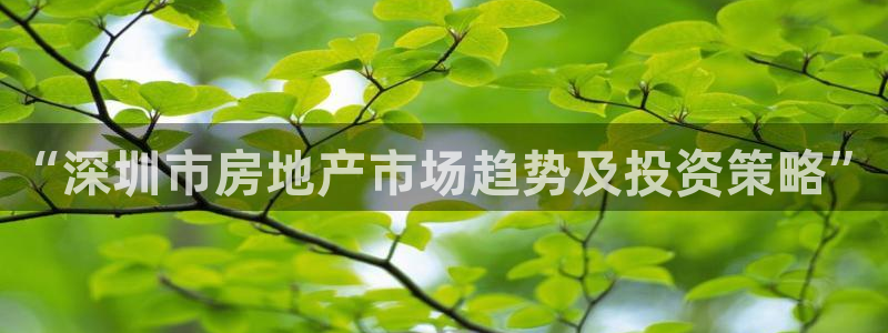 和记国际平台官网：“深圳市房地产市场趋势及投资策略”