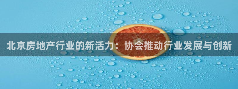 和记3香港 官网：北京房地产行业的新活力：协会推动行业发展与