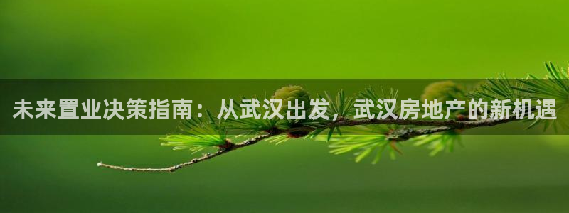 和记官网入口：未来置业决策指南：从武汉出发，武汉房地产的新机