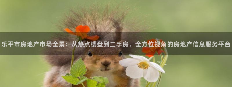 菲律宾和记官网：乐平市房地产市场全景：从热点楼盘到二手房，全