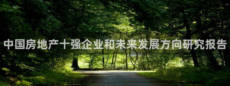 和记黄埔上海官网：中国房地产十强企业和未来发展方向研究报告