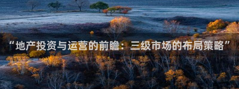 和记卡官网：“地产投资与运营的前瞻：三级市场的布局策略”