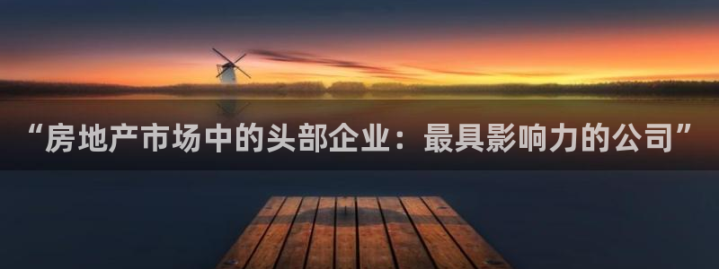 和记电讯官网0机构：“房地产市场中的头部企业：最具影响力的公