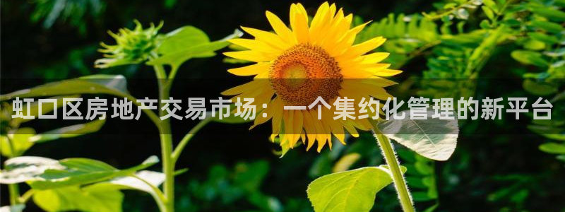 和记官网开户：虹口区房地产交易市场：一个集约化管理的新平台